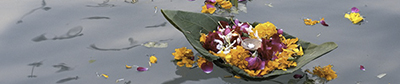 Image of a leaf with flower petals and candle