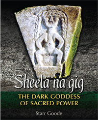 Image of the Book Cover of Sheela na gig The Dark Goddess of Sacred Powers